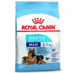 royal canin maxi starter 1kg 