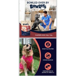 Bowlers With Lamb in Gravy (For Adult Dogs) 5+1